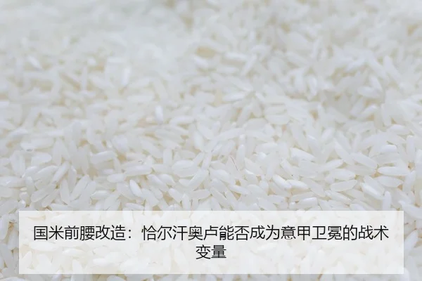 国米前腰改造:恰尔汗奥卢能否成为意甲卫冕的战术变量
