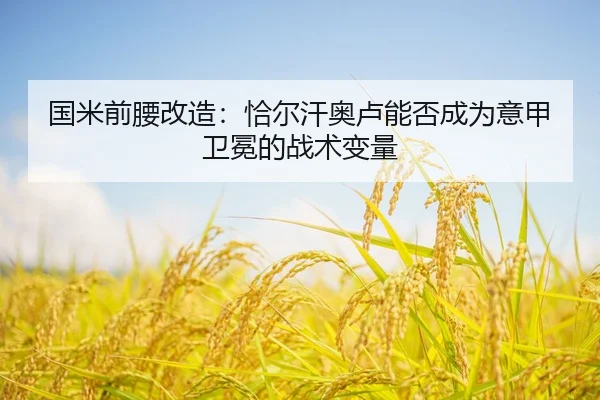 guo-mi-qian-yao-gai-zao-qia-er-han-ao-lu-neng-fou-cheng-wei-yi-jia-wei-mian-de-zhan-shu-bian-liang-3-272.jpg