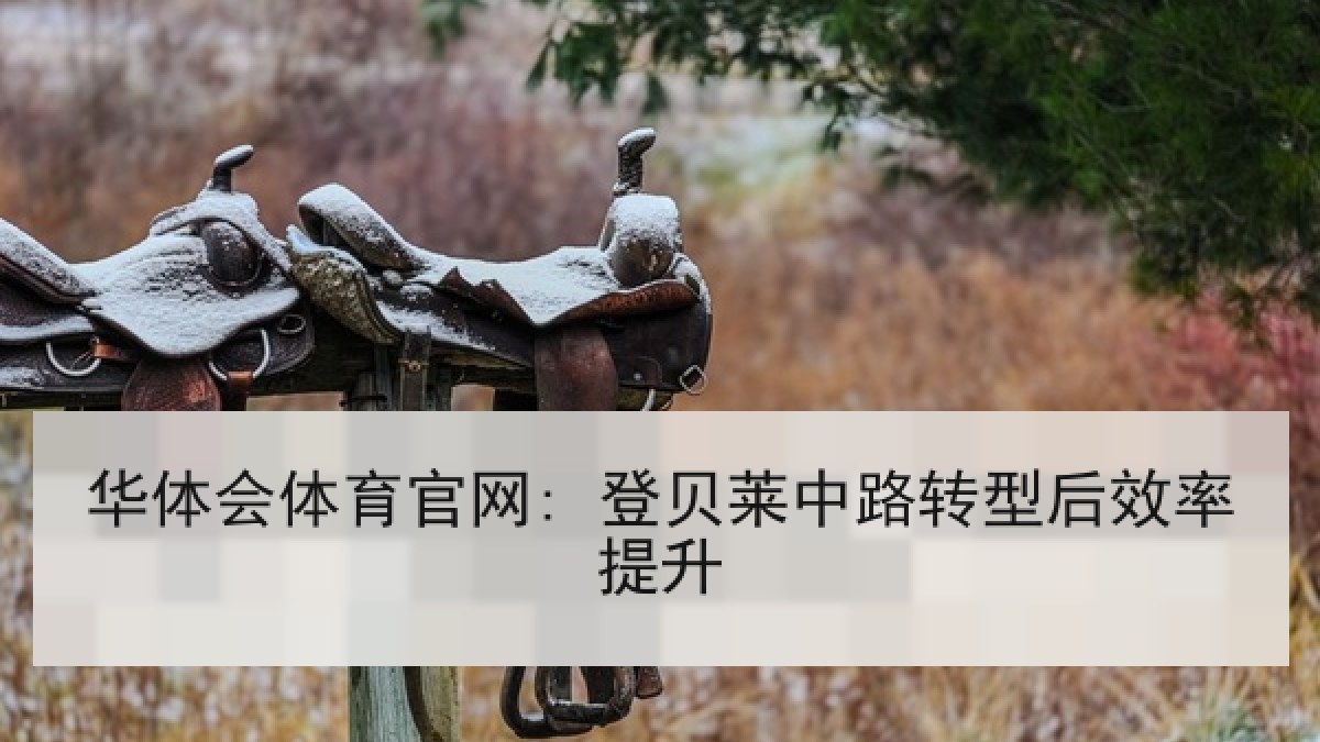 华体会体育官网: 登贝莱中路转型后效率提升