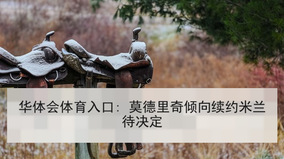 华体会体育入口: 莫德里奇倾向续约米兰待决定